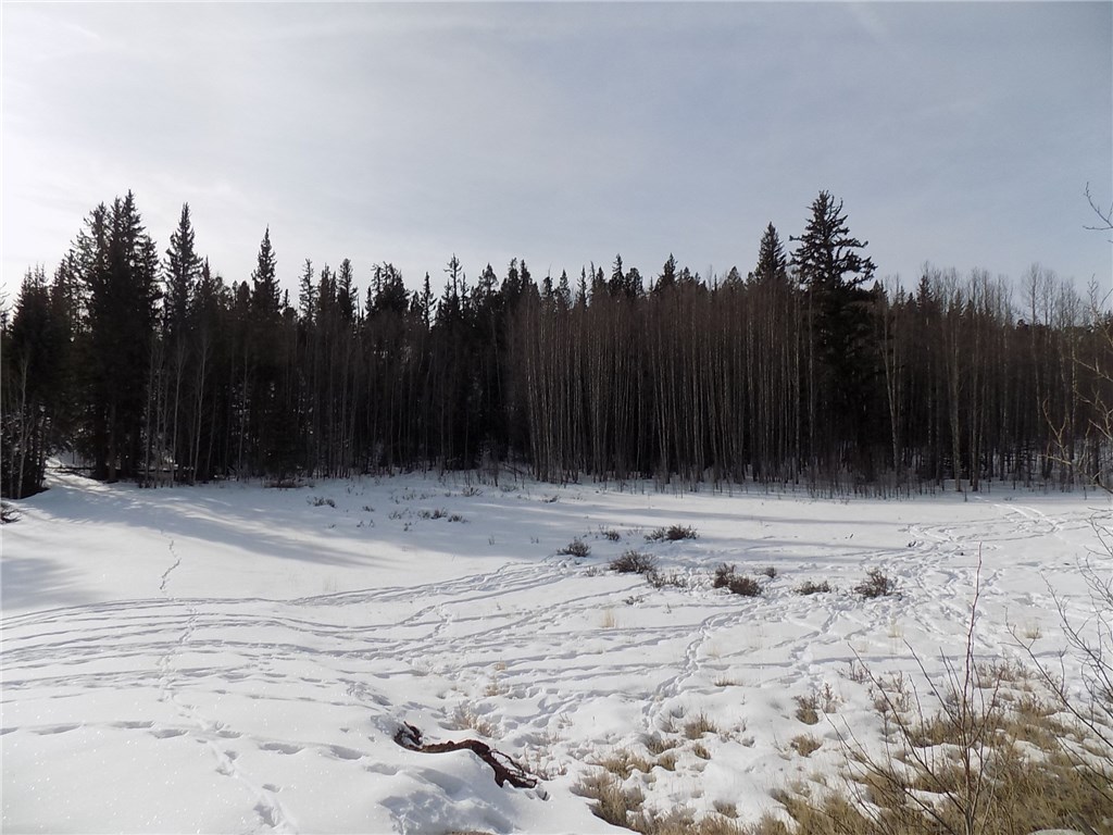 6241 Remington Road Como, CO 80432 - Photo 9 of 15 Gallery Image 9