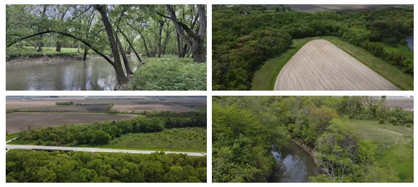 a view of backyard with green space