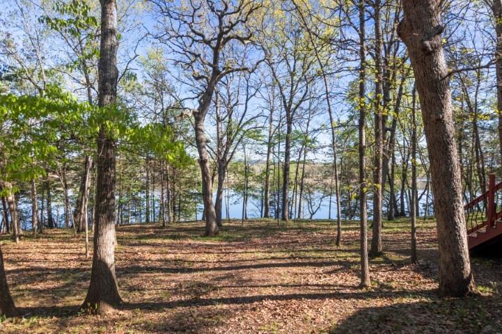 784 Lake Road Shell Knob, MO 65747 - Photo 10 of 44