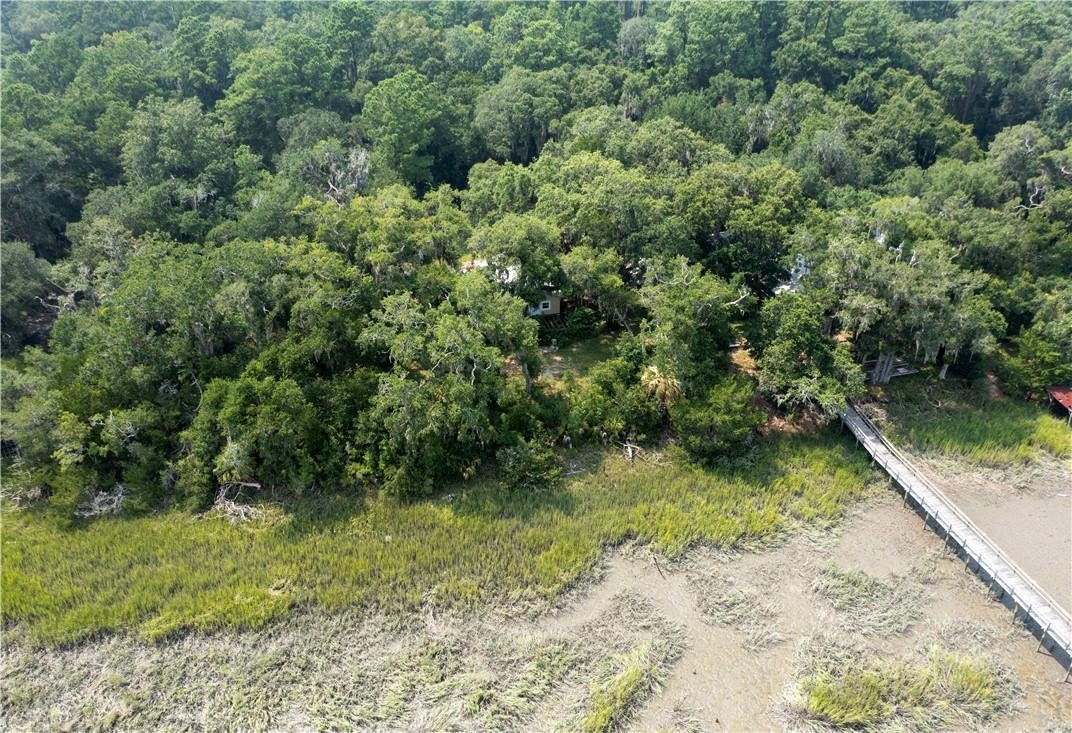 1304 Old Smokey Crescent Townsend, GA 31331 - Photo 12 of 14