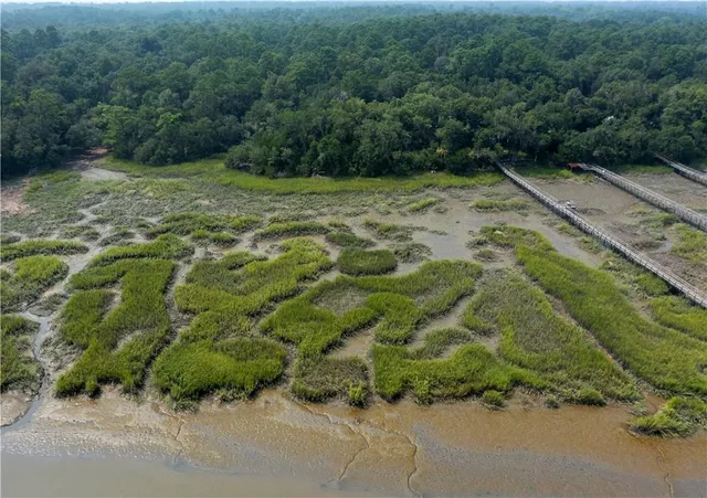 $1,500,000 | 1304 Old Smokey Crescent, Townsend, GA 31331