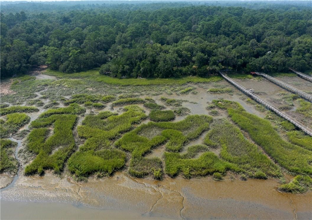 1304 Old Smokey Crescent Townsend, GA 31331 - Photo 13 of 14