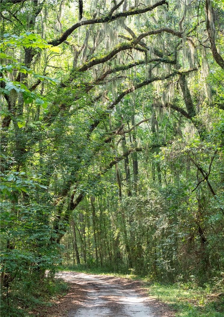 1304 Old Smokey Crescent Townsend, GA 31331 - Photo 14 of 14