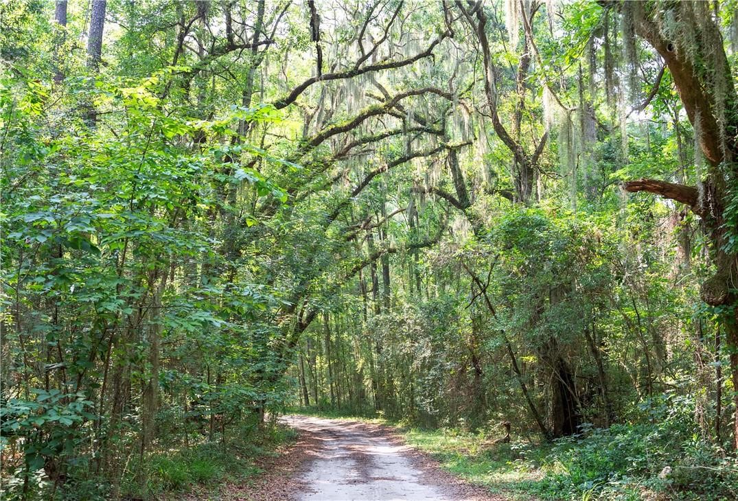 1304 Old Smokey Crescent Townsend, GA 31331 - Photo 4 of 14