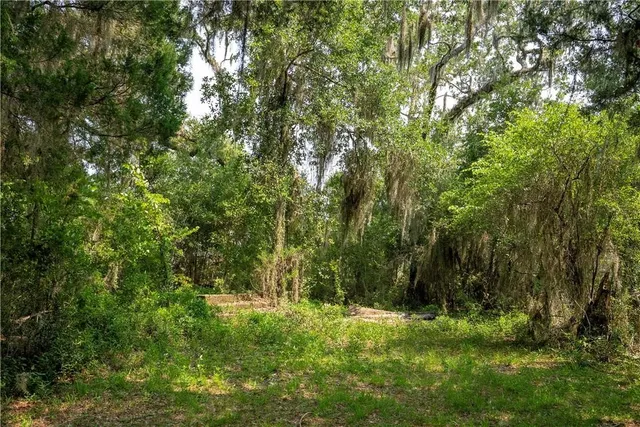 $1,500,000 | 1304 Old Smokey Crescent, Townsend, GA 31331