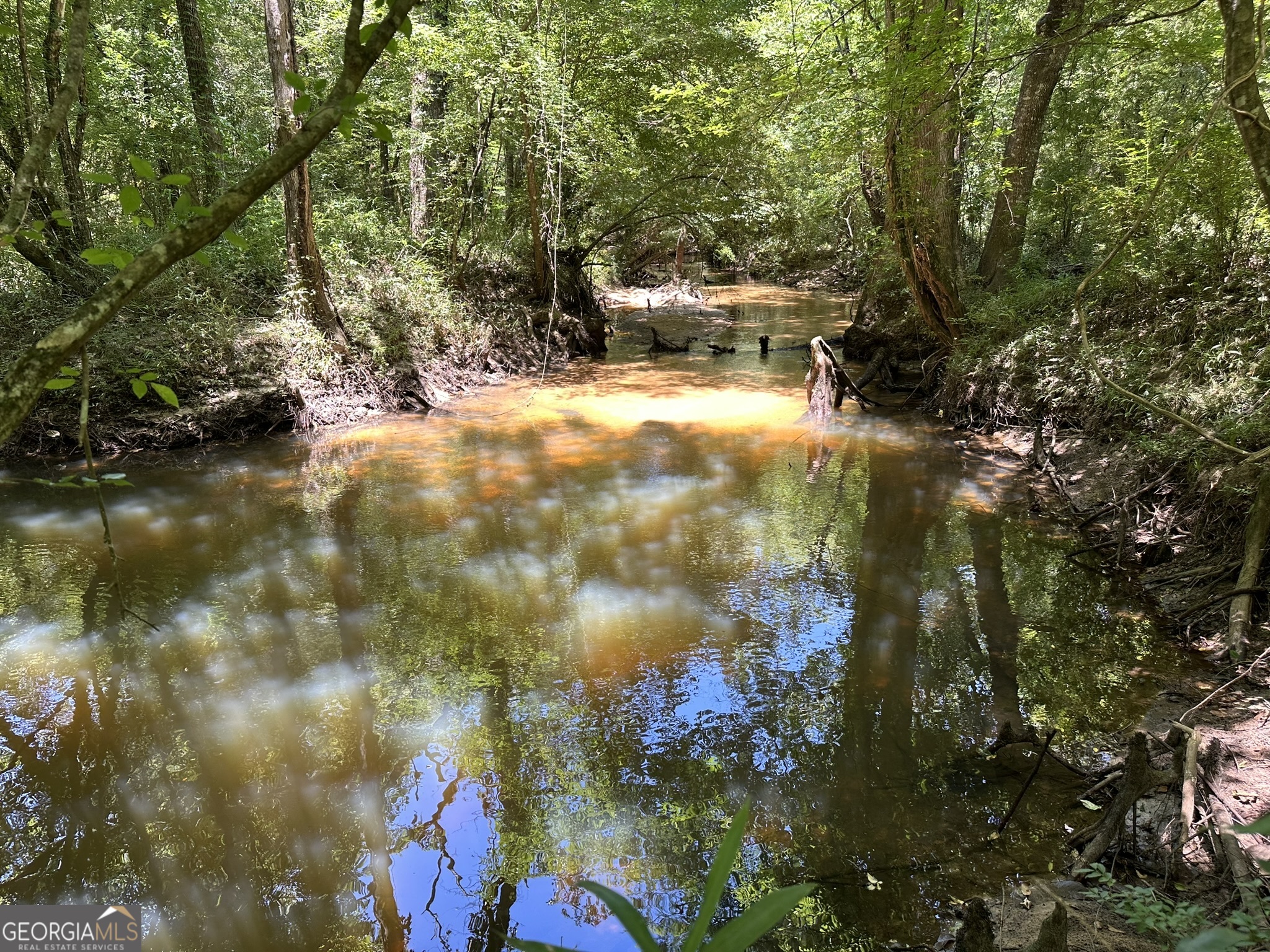 2 Case Road Slocomb, AL 36375 - Photo 1 of 1