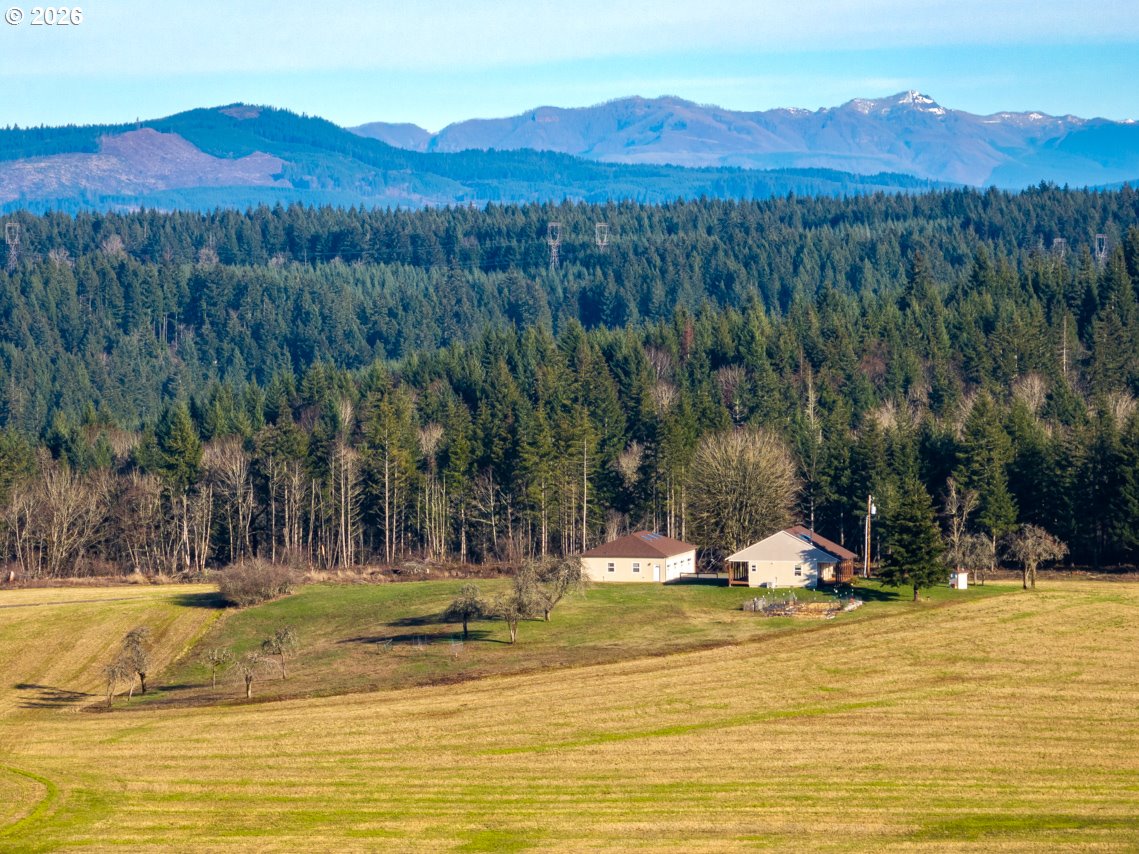 42172 Rodgers Mountain Loop Scio, OR 97374 - Photo 47 of 48