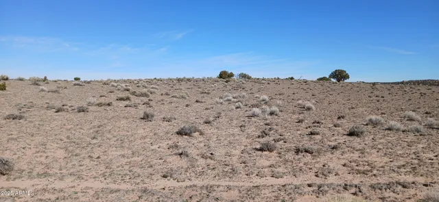 a view of a large garden with lots of bushes
