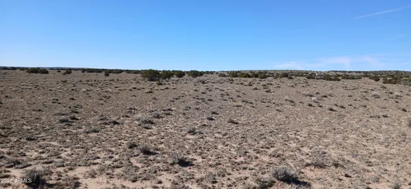 $2,900 | 1.06-acre 1.06-acre Blackfoot Trail, Unit 72, Chambers, AZ 86502