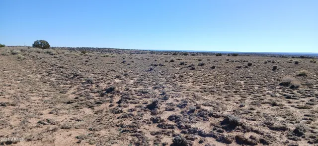 a view of an outdoor space and a yard