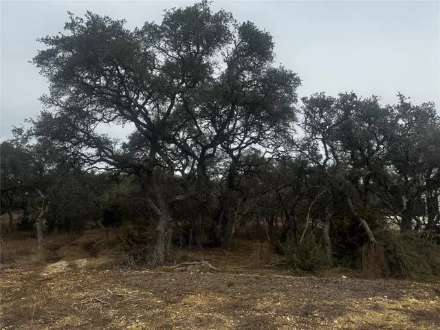 $159,900 | 676 Annabelle Avenue, Bulverde, TX 78163