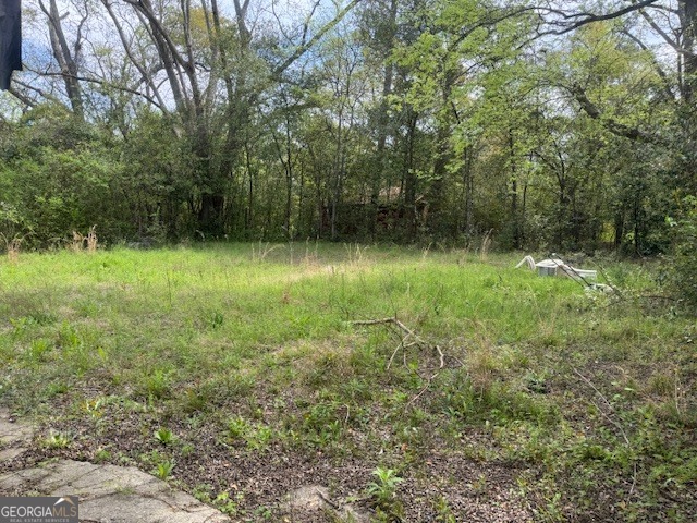 107 Benjamin Street Fort Valley, GA 31030 - Photo 25 of 26 a view of a yard