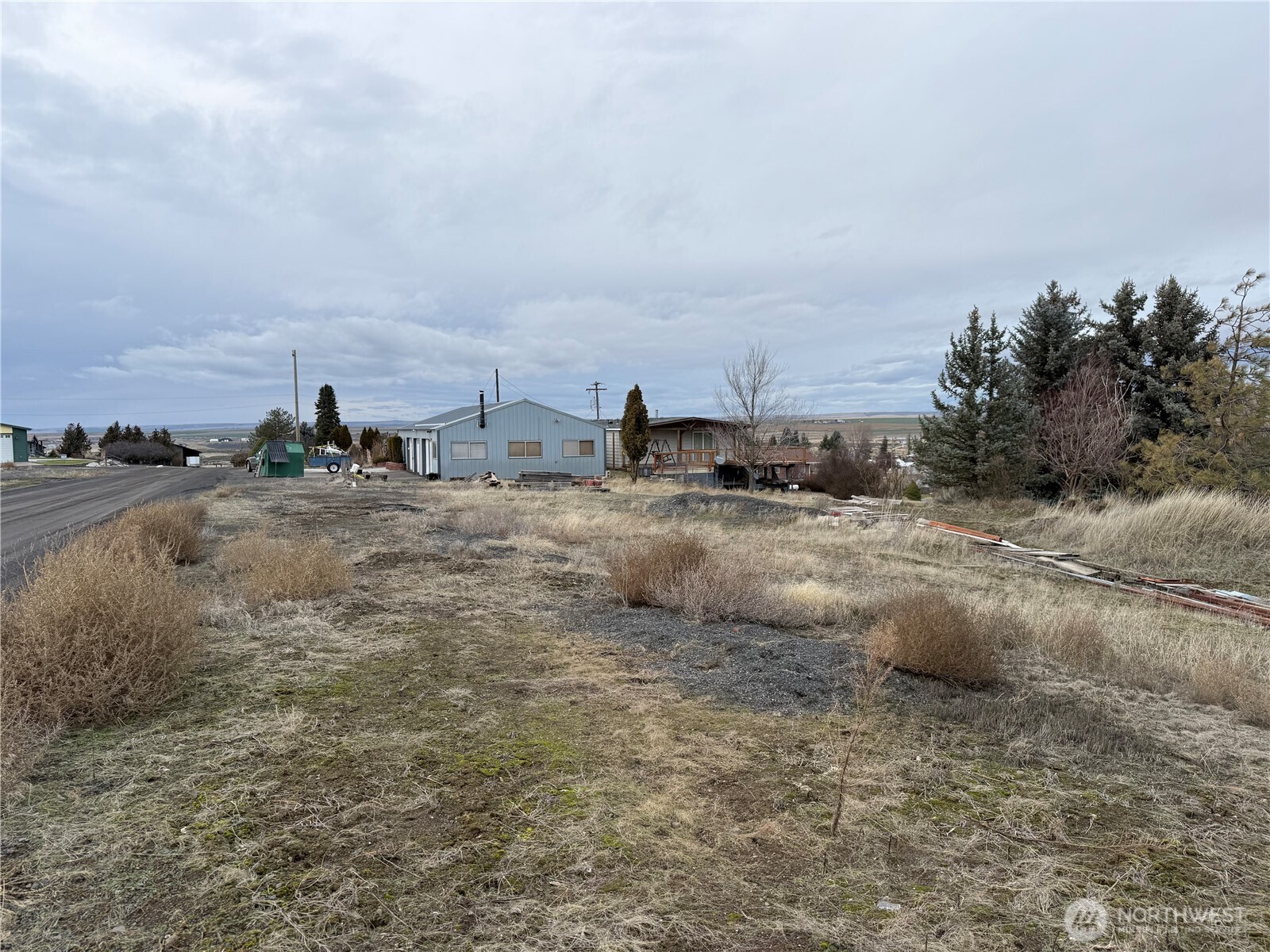 411 Southwest College Avenue Wilbur, WA 99185 - Photo 33 of 40 a view of a dry yard with trees