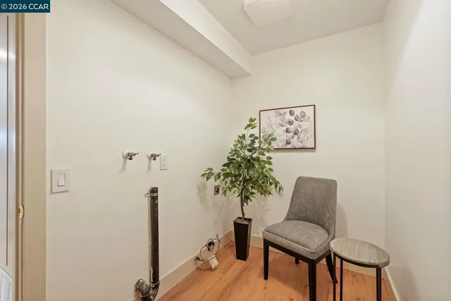 a room with furniture and a potted plant