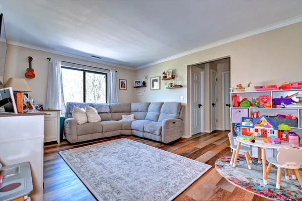 a living room with furniture and a rug