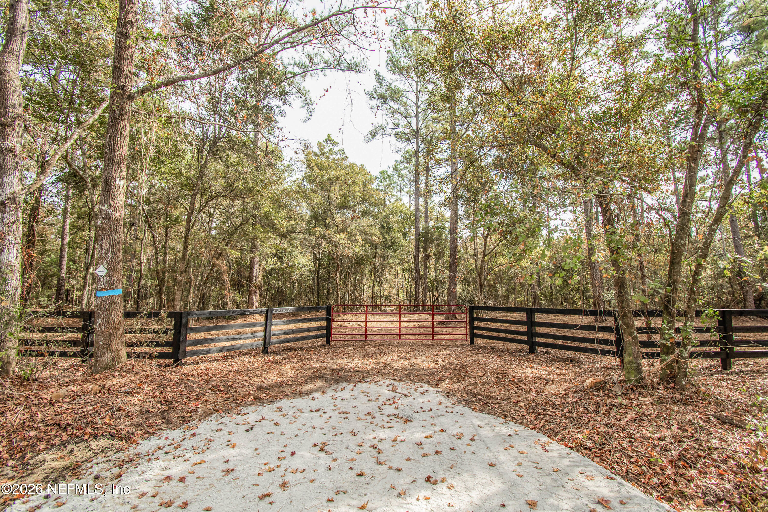 14440 C R 124 Sanderson, FL 32087 - Photo 1 of 5 untitled-6350copy