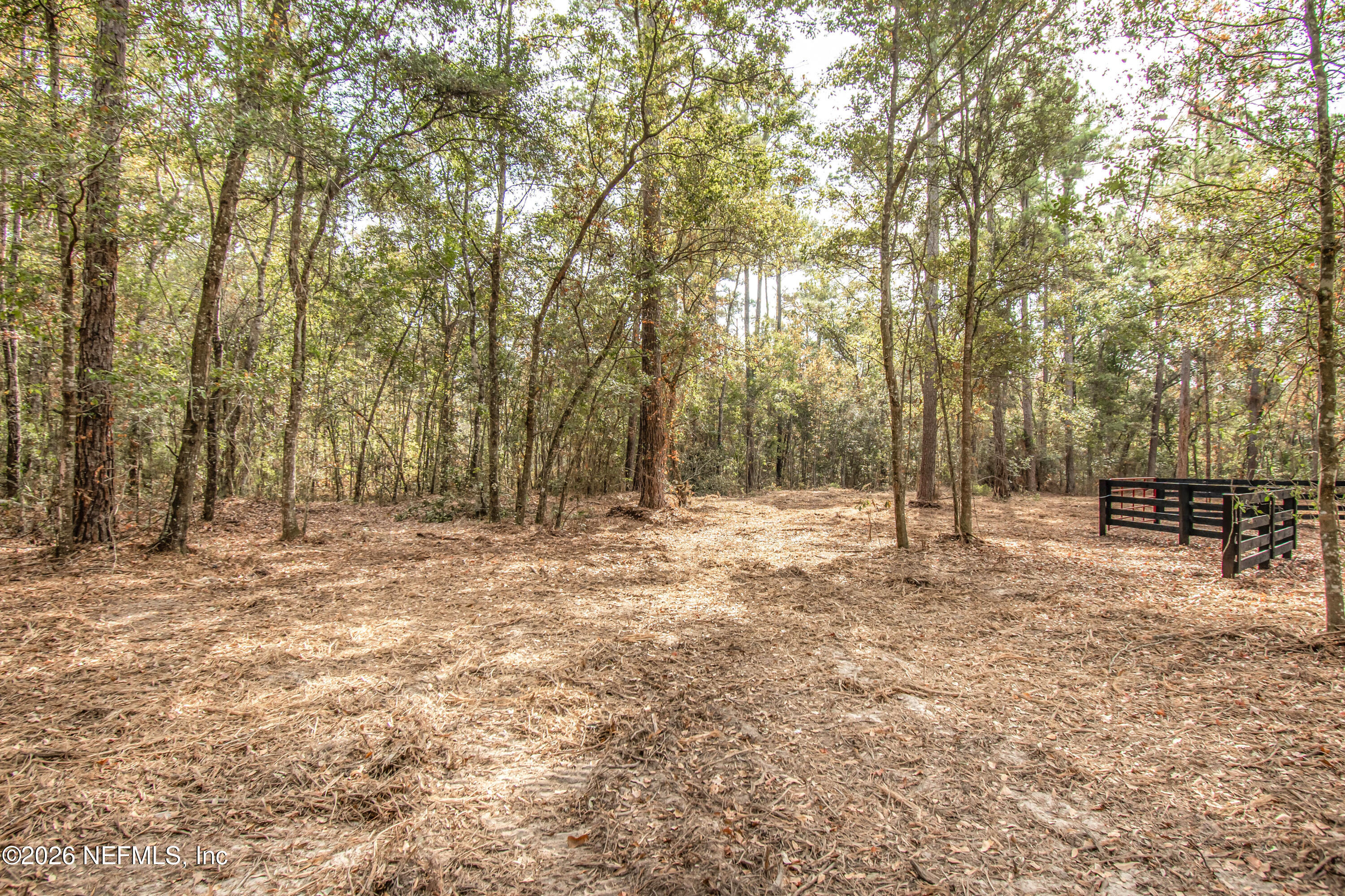 14440 C R 124 Sanderson, FL 32087 - Photo 2 of 5 untitled-6347copy