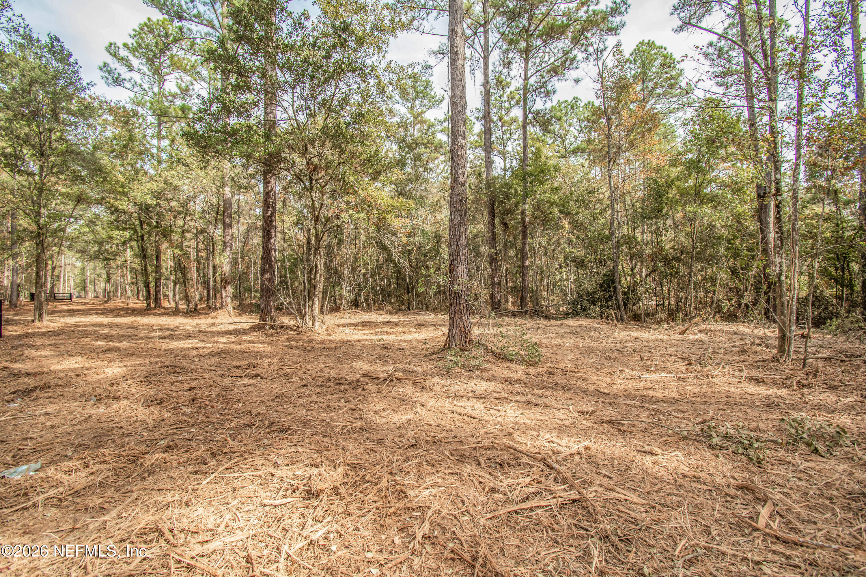 14440 C R 124 Sanderson, FL 32087 - Photo 3 of 5 untitled-6357copy