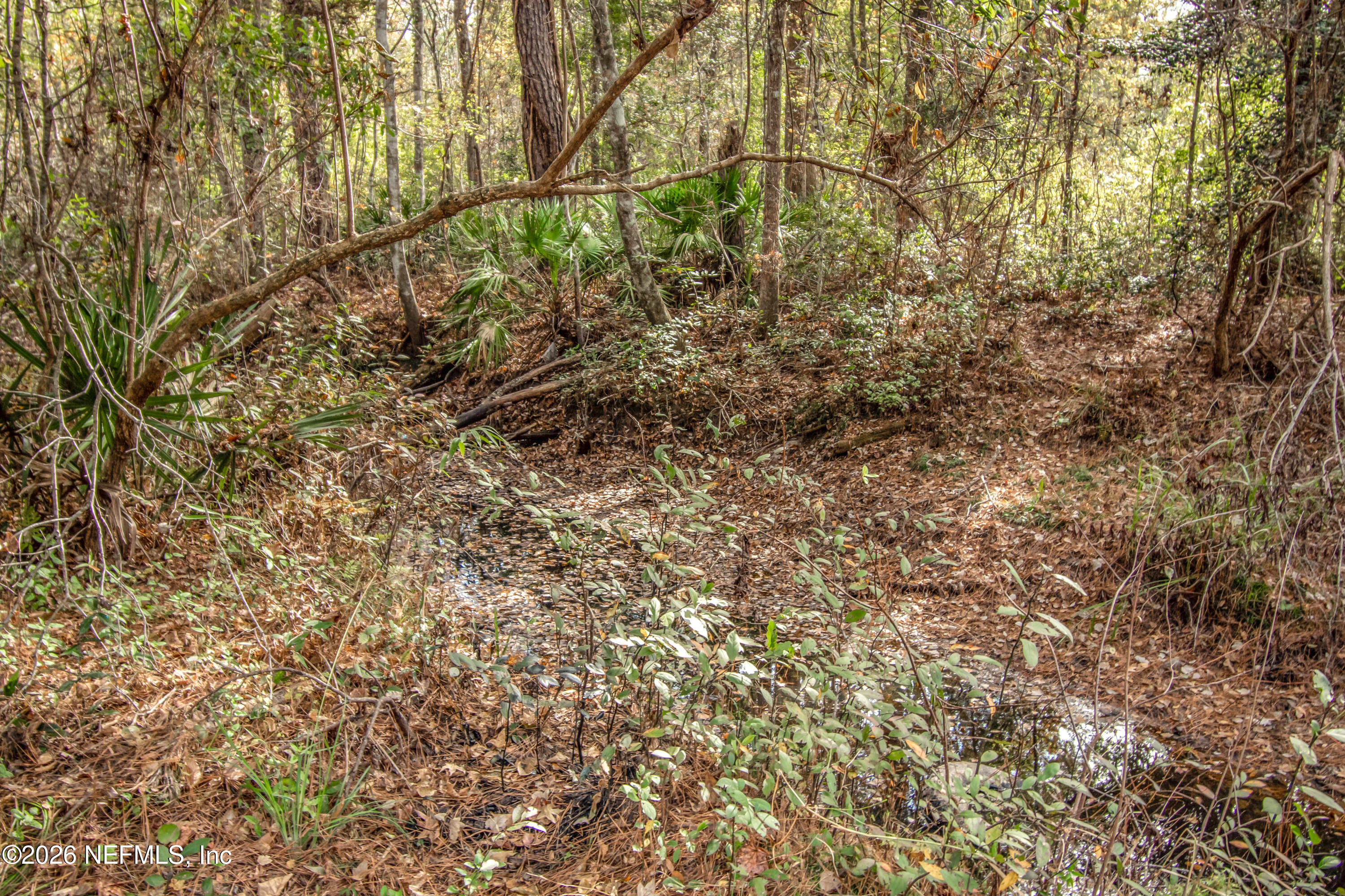 14440 C R 124 Sanderson, FL 32087 - Photo 4 of 5 untitled-6371copy