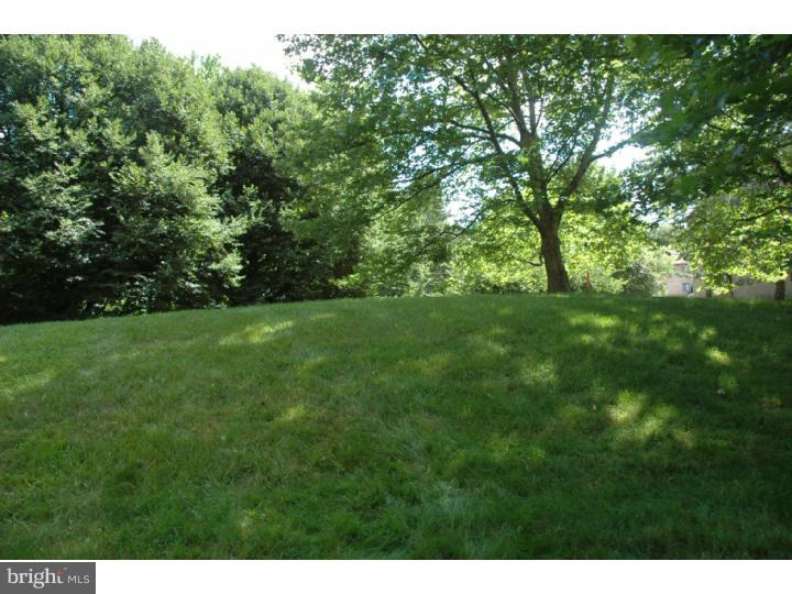 1173 Heyward Road, Unit 47 Wayne, PA 19087 - Photo 5 of 7 Back Yard