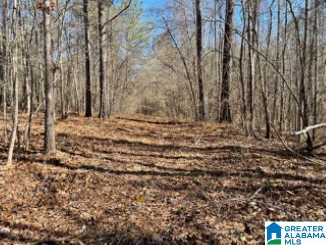 820 County Road, Unit 193 Roanoke, AL 36274 - Photo 4 of 15