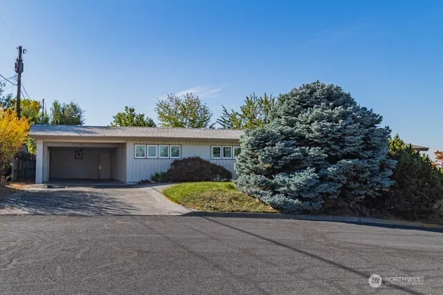 a view of house with a yard and potted plants