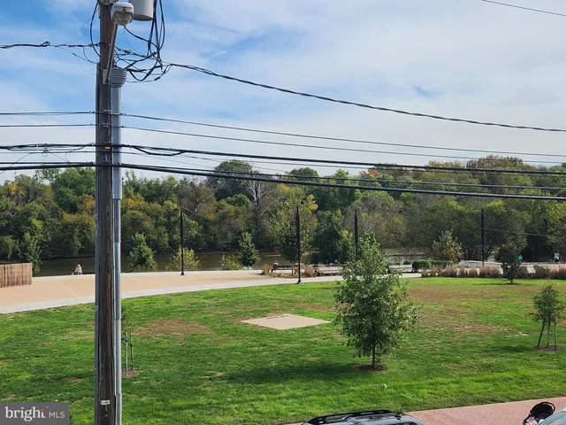 a view of a park with large trees