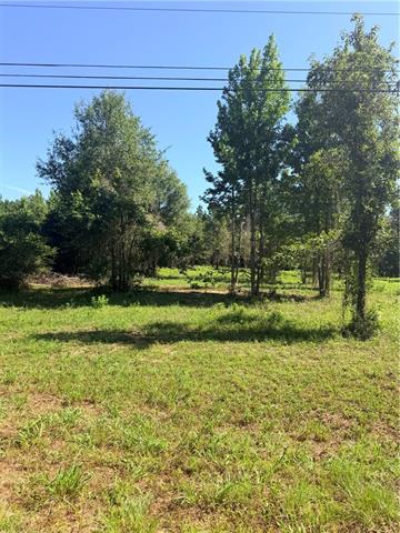 216 Hughart Road Bentley, LA 71407 - Photo 1 of 3