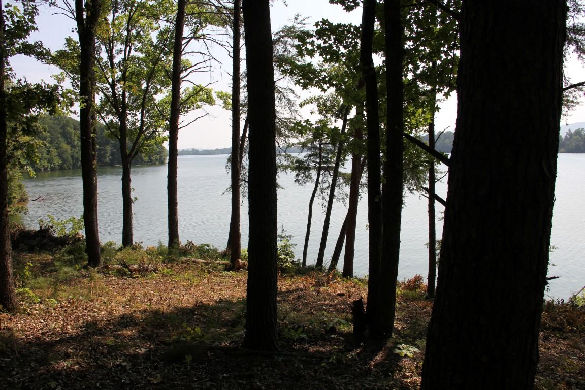 Lot #19 Spring Crossing Dr Spring Spring City, TN 37381 - Photo 1 of 18 lot 19 spring crossing Lake View 1 (Medi