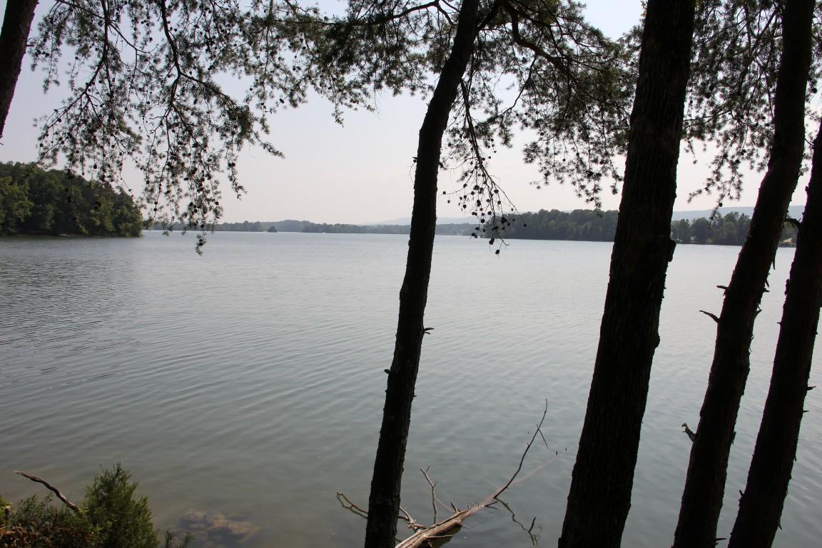 Lot #19 Spring Crossing Dr Spring Spring City, TN 37381 - Photo 11 of 18 lot 19 spring crossing Lake View 9 (Medi