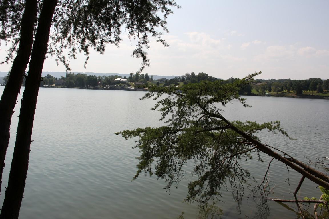 Lot #19 Spring Crossing Dr Spring Spring City, TN 37381 - Photo 12 of 18 lot 19 spring crossing Lake View 10 (Med