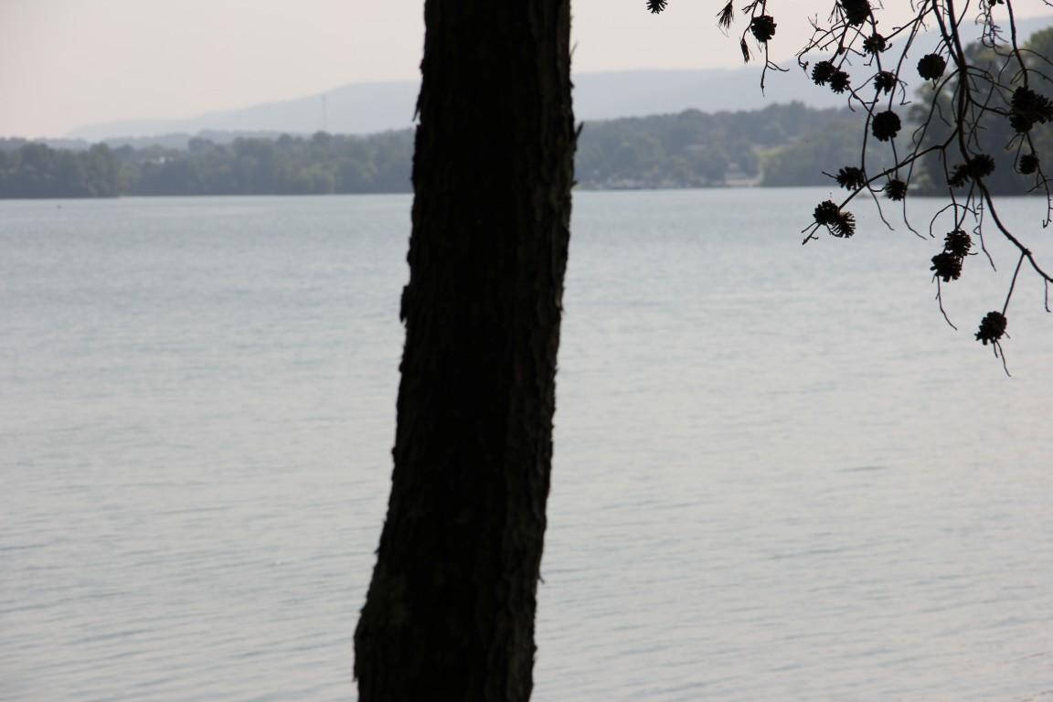 Lot #19 Spring Crossing Dr Spring Spring City, TN 37381 - Photo 13 of 18 lot 19 spring crossing Lake View 11 (Med