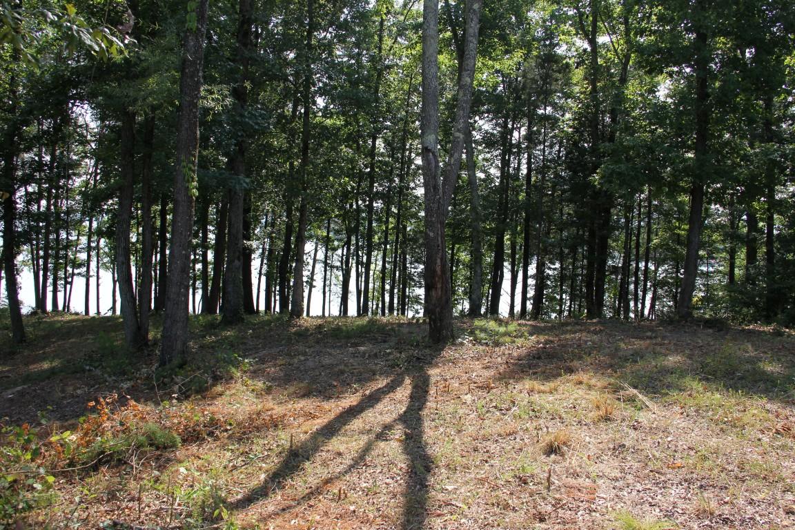 Lot #19 Spring Crossing Dr Spring Spring City, TN 37381 - Photo 15 of 18 lot 19 spring crossing Trees on lot (Med
