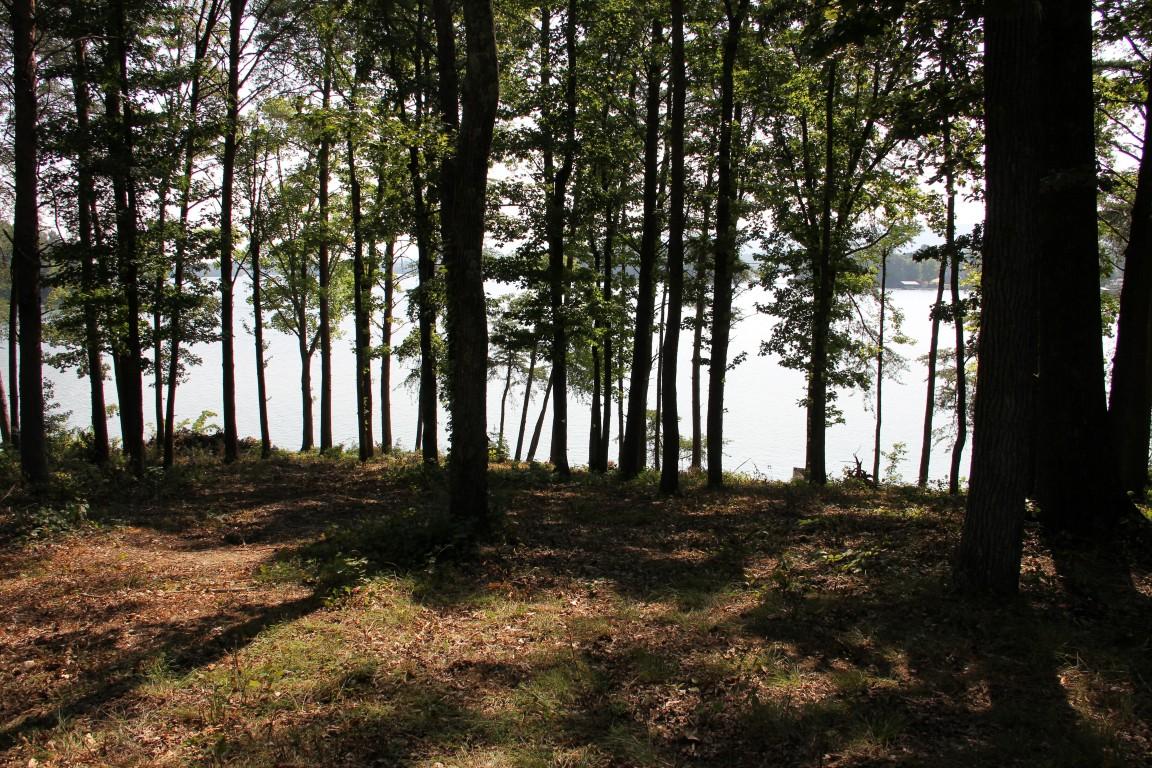 Lot #19 Spring Crossing Dr Spring Spring City, TN 37381 - Photo 17 of 18 lot 19 spring crossing View of Lake thru