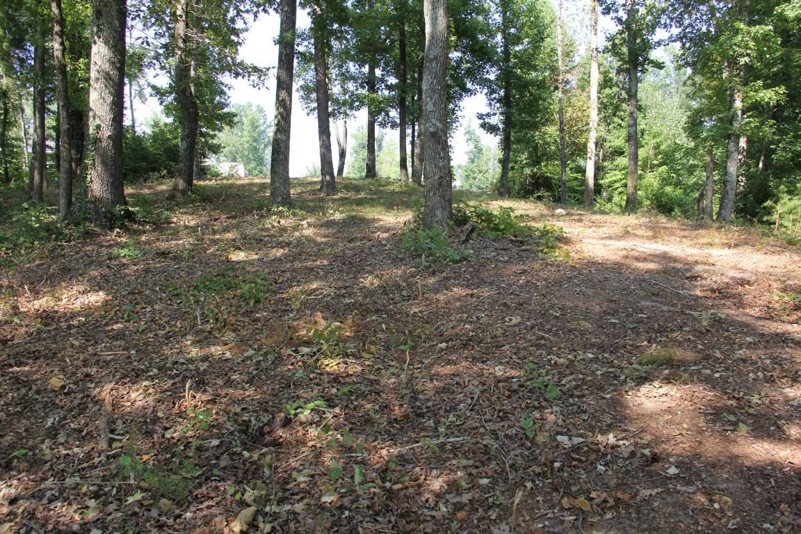 Lot #19 Spring Crossing Dr Spring Spring City, TN 37381 - Photo 3 of 18 lot 19 spring crossing From lake to stre