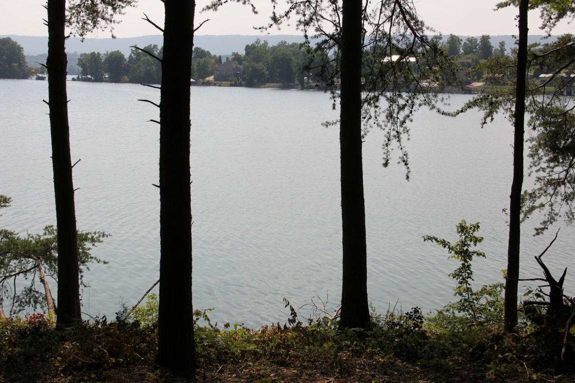 Lot #19 Spring Crossing Dr Spring Spring City, TN 37381 - Photo 5 of 18 lot 19 spring crossing Lake View 3 (Medi
