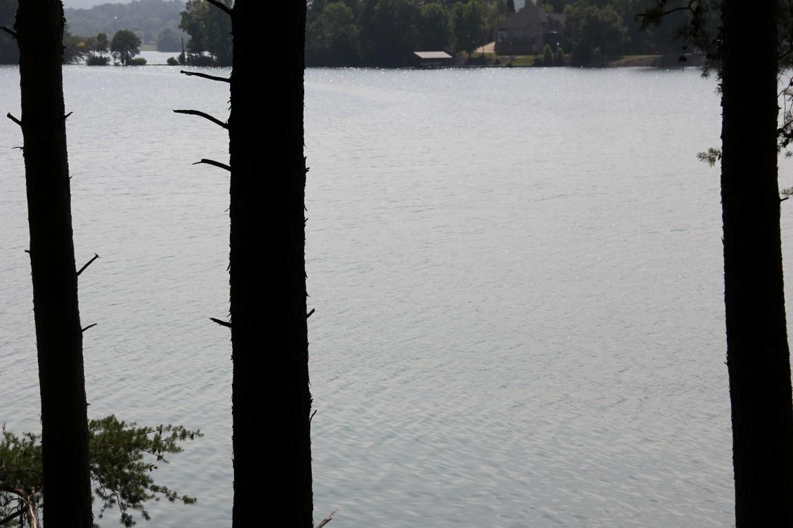 Lot #19 Spring Crossing Dr Spring Spring City, TN 37381 - Photo 7 of 18 lot 19 spring crossing Lake View 5 (Medi