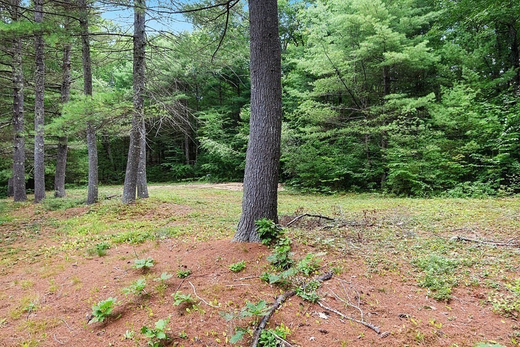 54 Grimes Road Hubbardston, MA 01452 - Photo 8 of 32 Gallery Image 8