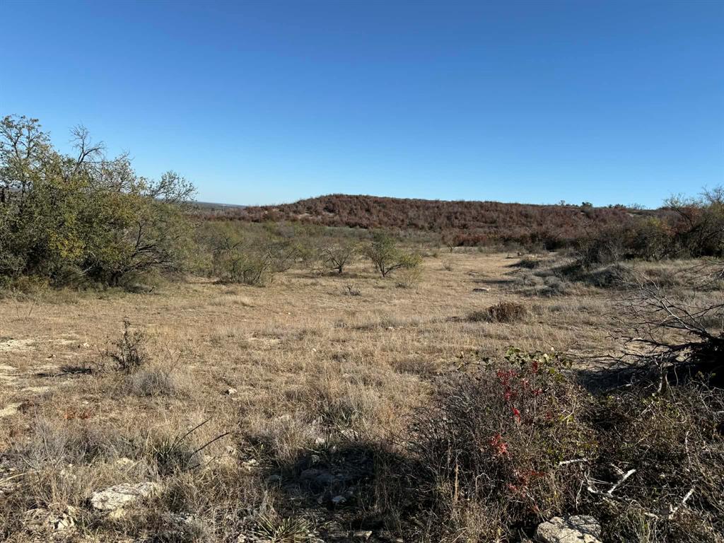 436 County Road 436 Rising Star, TX 76471 - Photo 16 of 18 a view of a dry field
