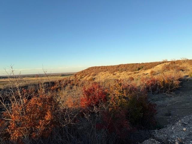 436 County Road 436 Rising Star, TX 76471 - Photo 5 of 18 a view of a dry yard with mountains in the background