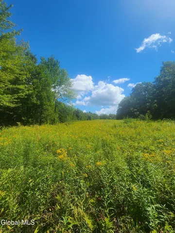 $60,000 | L1.2 L1.2 Mcmillan Road, Delanson, NY 12053