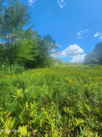 $60,000 | L1.2 L1.2 Mcmillan Road, Delanson, NY 12053