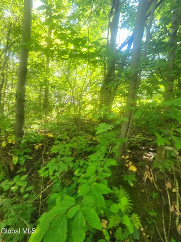 $60,000 | L1.2 L1.2 Mcmillan Road, Delanson, NY 12053