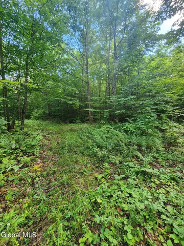 $60,000 | L1.2 L1.2 Mcmillan Road, Delanson, NY 12053