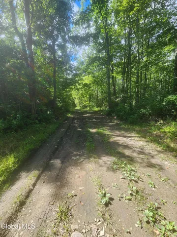 $60,000 | L1.2 L1.2 Mcmillan Road, Delanson, NY 12053