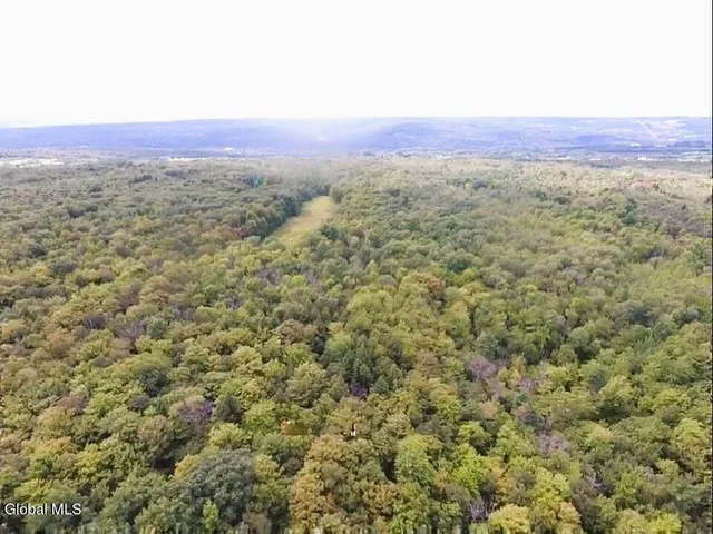 $60,000 | L1.2 L1.2 Mcmillan Road, Delanson, NY 12053