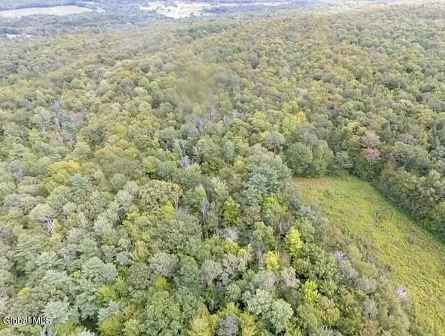 $60,000 | L1.2 L1.2 Mcmillan Road, Delanson, NY 12053