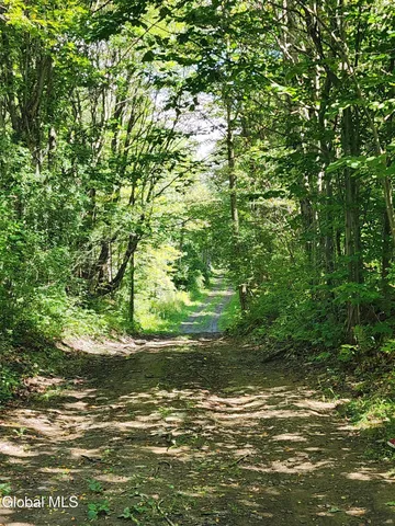 $60,000 | L1.2 L1.2 Mcmillan Road, Delanson, NY 12053