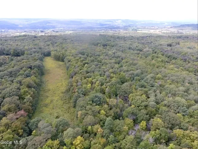 $60,000 | L1.2 L1.2 Mcmillan Road, Delanson, NY 12053