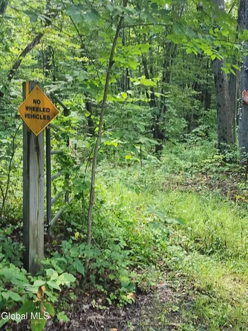 $60,000 | L1.2 L1.2 Mcmillan Road, Delanson, NY 12053